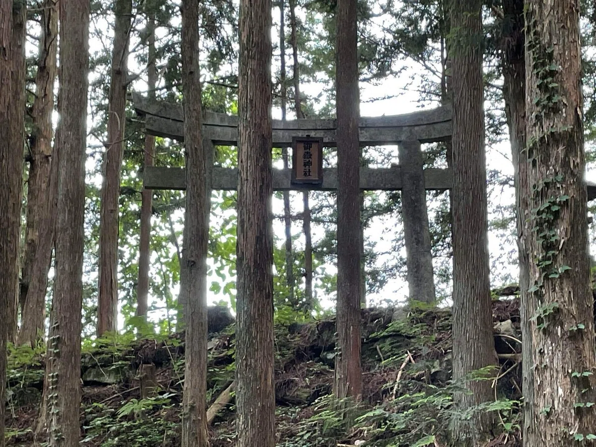 画像41