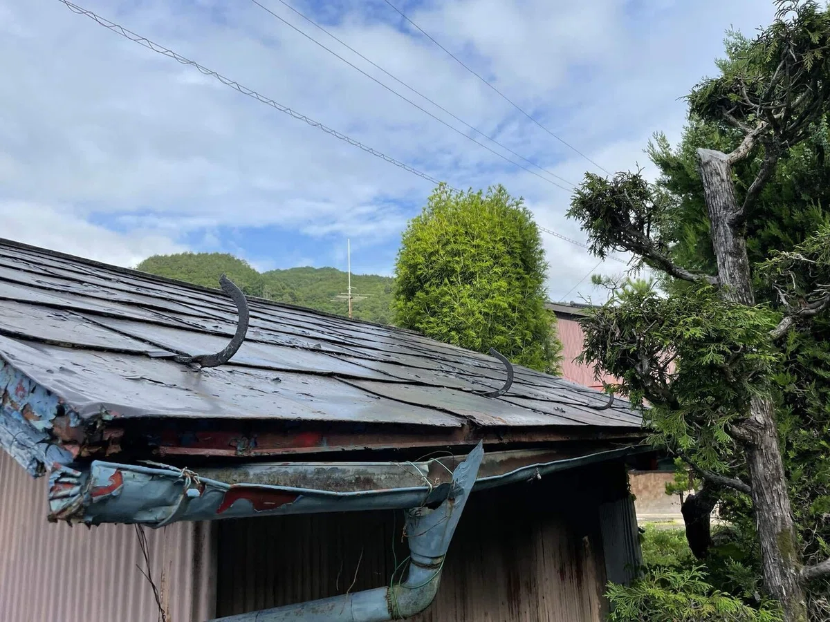 画像48