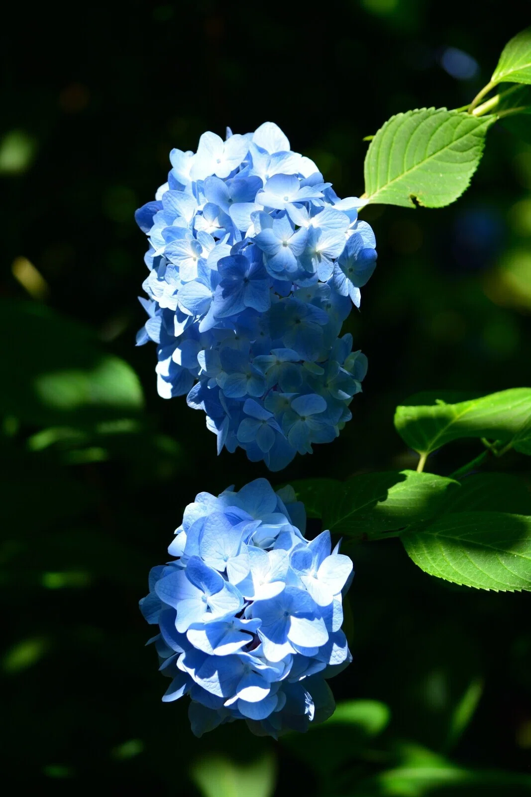 画像21