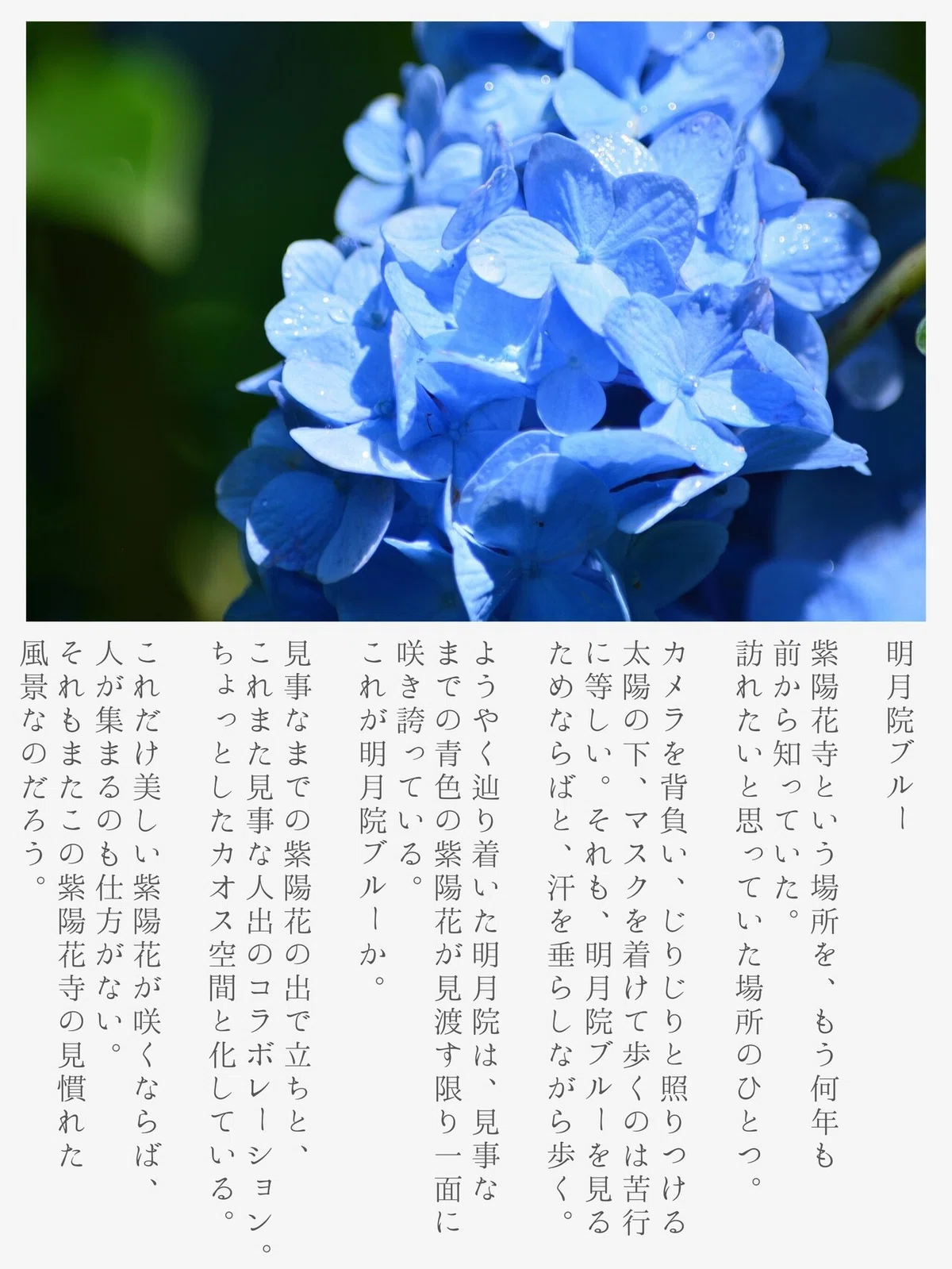 画像28