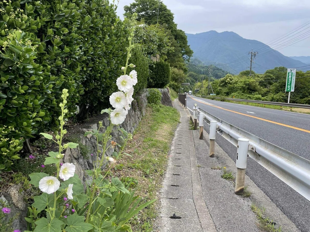 画像85