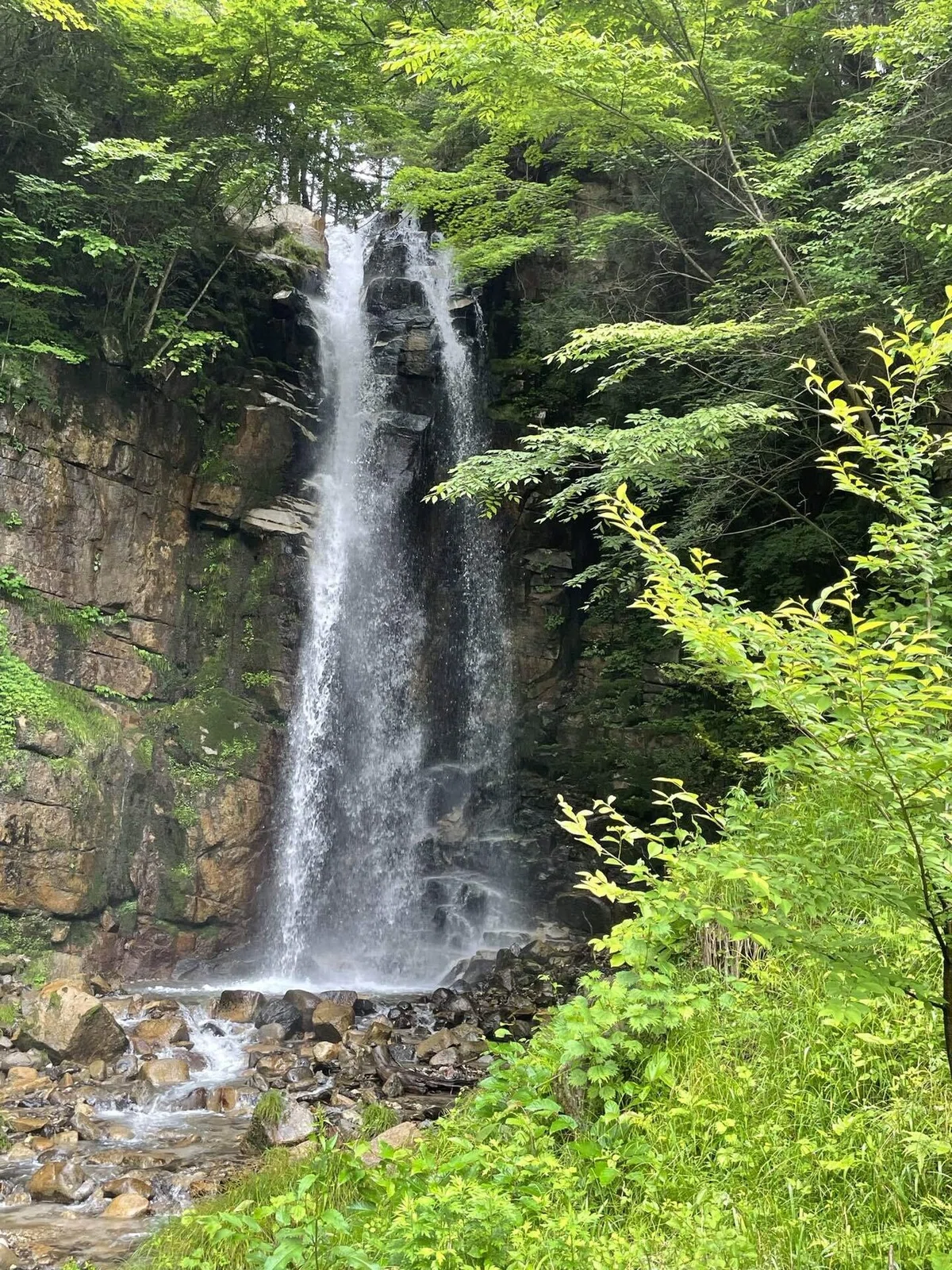 画像86