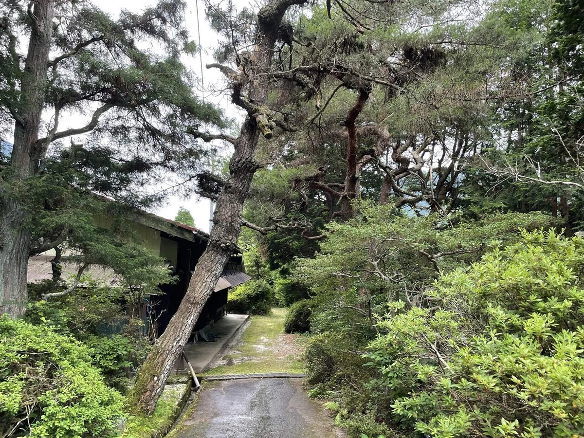 画像104