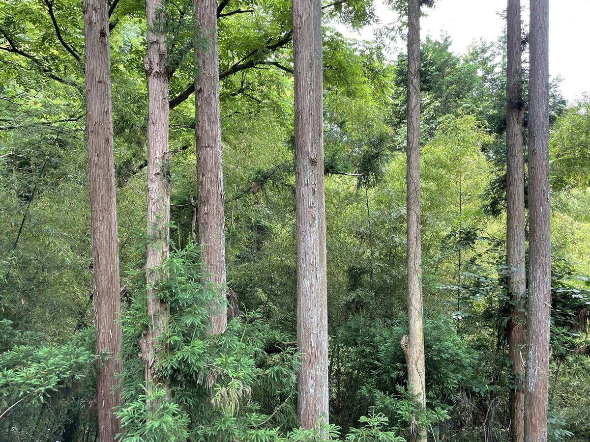 画像122