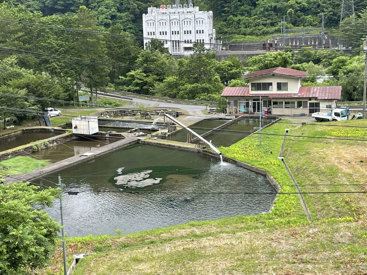 画像132