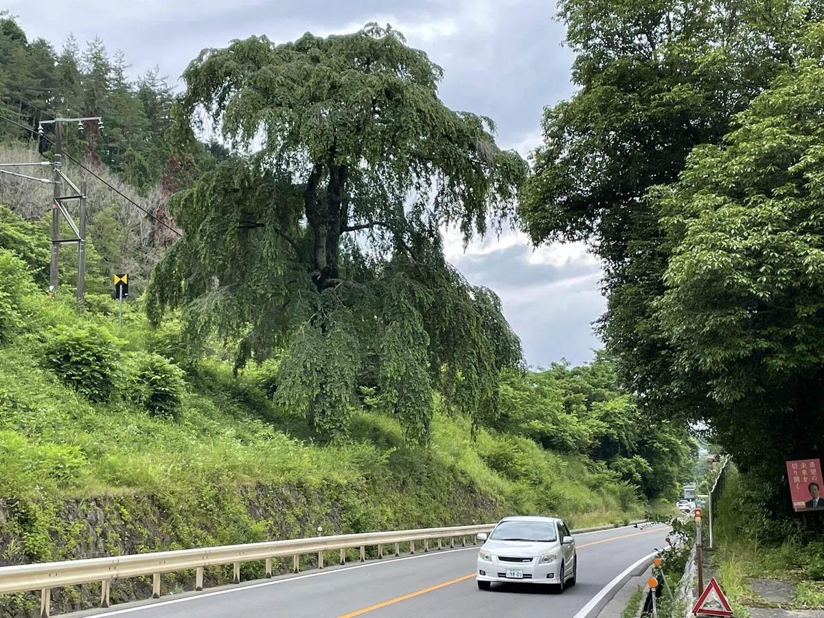 画像135