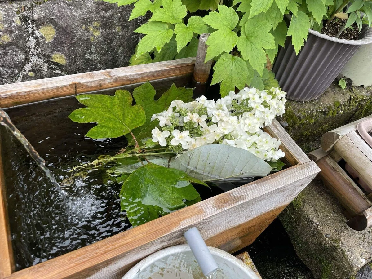 画像147