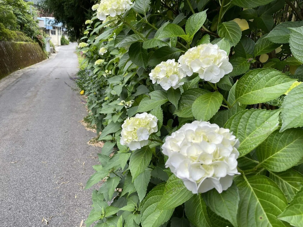 画像174