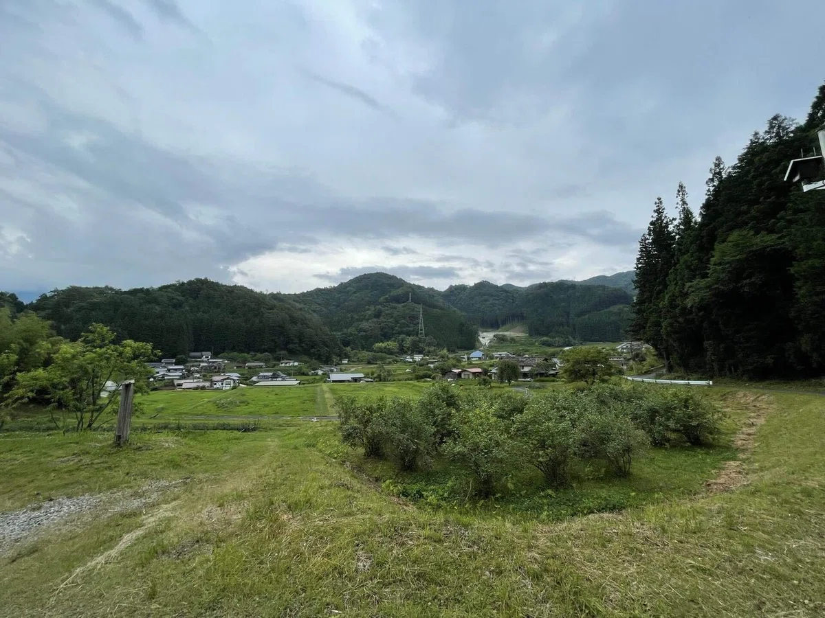 画像186