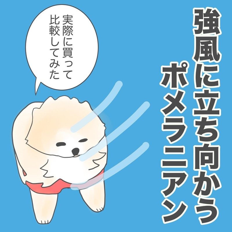 日常マンガ 強風に立ち向かうポメラニアンを買ったので 実物と比較してみた ガチャガチャ Semi Note 日常マンガ 強風に立ち向かうポメラニアンを買ったので 実物と比較してみた ガチャガチャ Semi Note