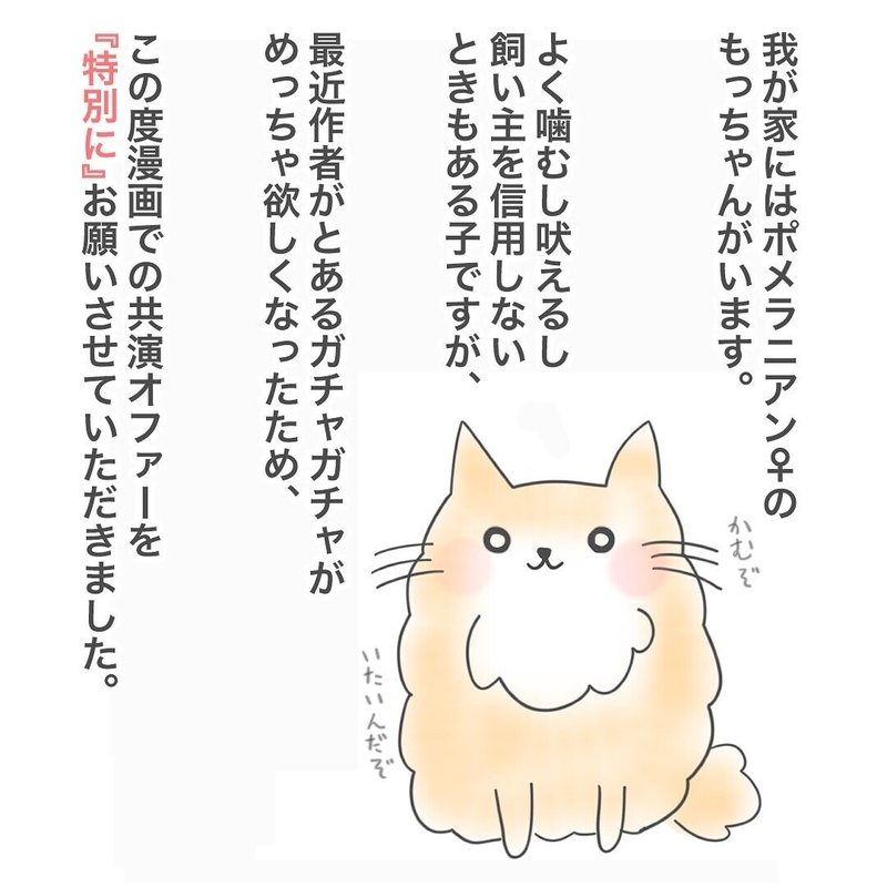 日常マンガ 強風に立ち向かうポメラニアンを買ったので 実物と比較してみた ガチャガチャ Semi Note