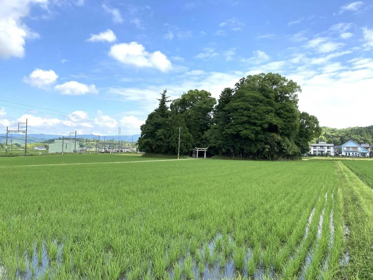 画像6