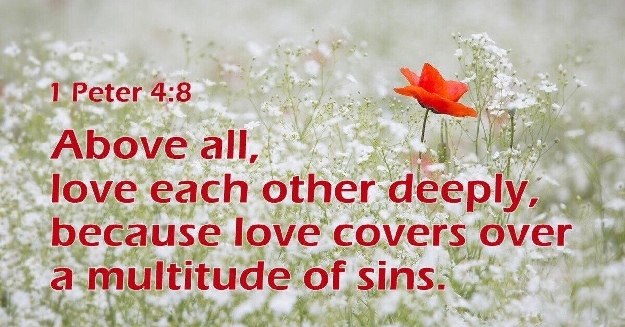 愛は多くの罪を覆う バイブルライン Note 愛は多くの罪を覆う バイブルライン Note