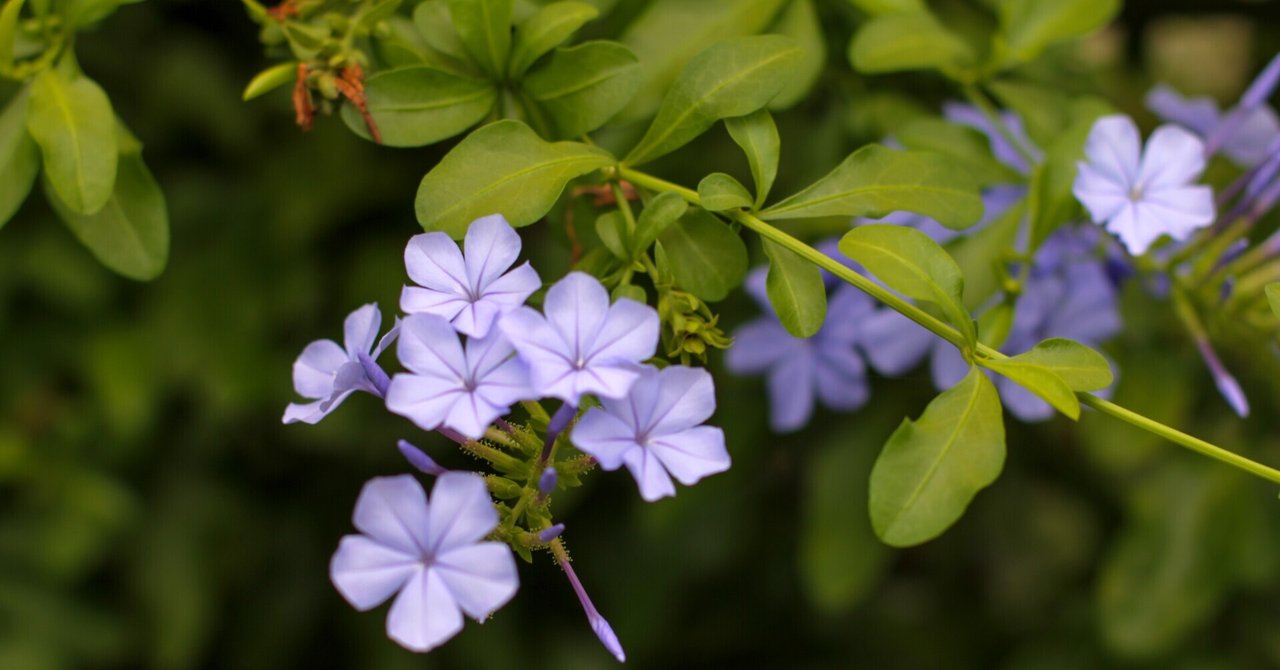 明るい心 Taku Note