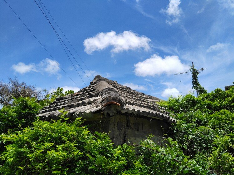 やれたセメン瓦と梅雨明けの青空と繁茂する緑。

ロケ地：野原越