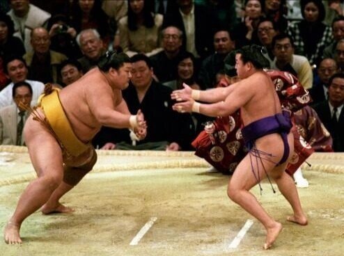 相撲 廻し まわし 相撲部 部活 力士 ほし 