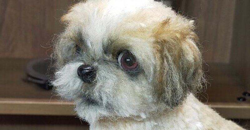 フェルト作品に使う 目玉 のお話と 白目 の作り方 フェルトスタジオ Icchi S Room きたがわたけし Note