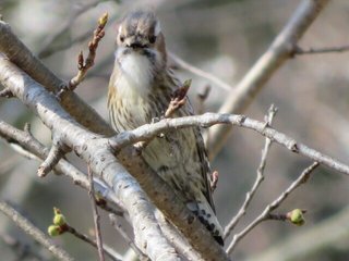 ベルセリア の新着タグ記事一覧 Note つくる つながる とどける ベルセリア の新着タグ記事一覧 Note つくる つながる とどける