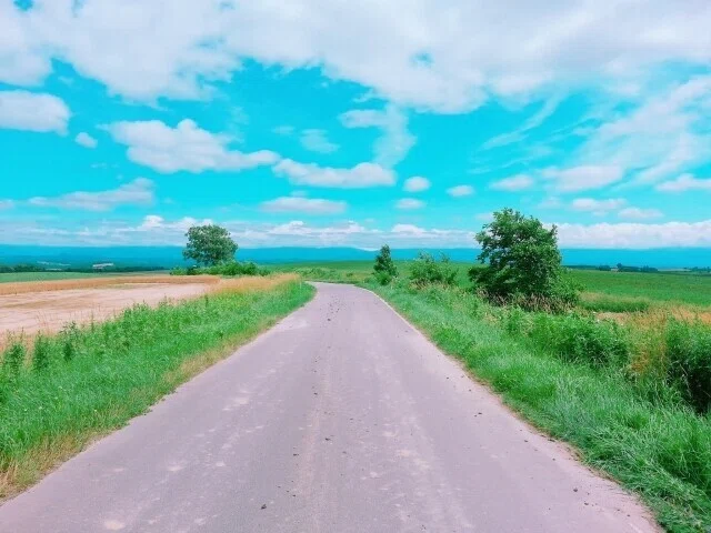 画像6