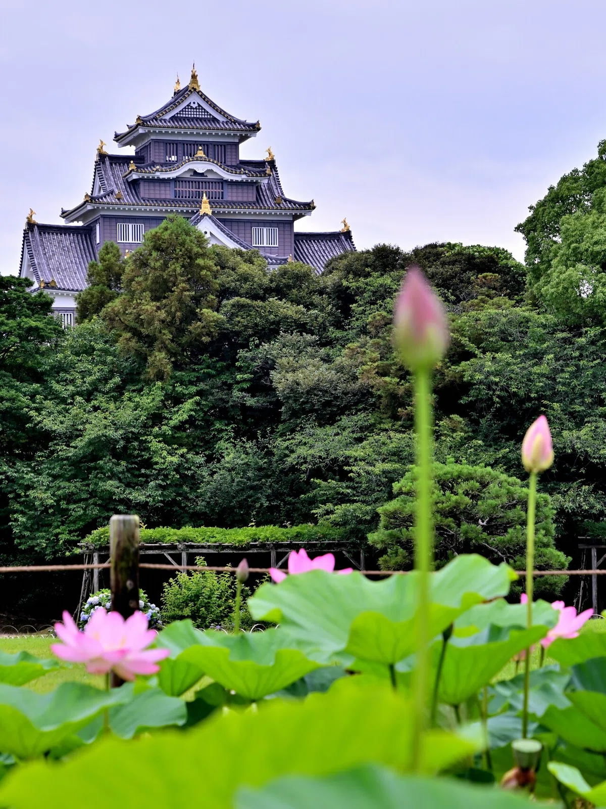 画像2