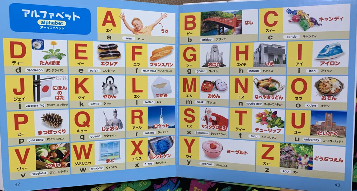 画像14