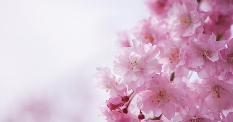 仁科友里 の新着タグ記事一覧 Note つくる つながる とどける