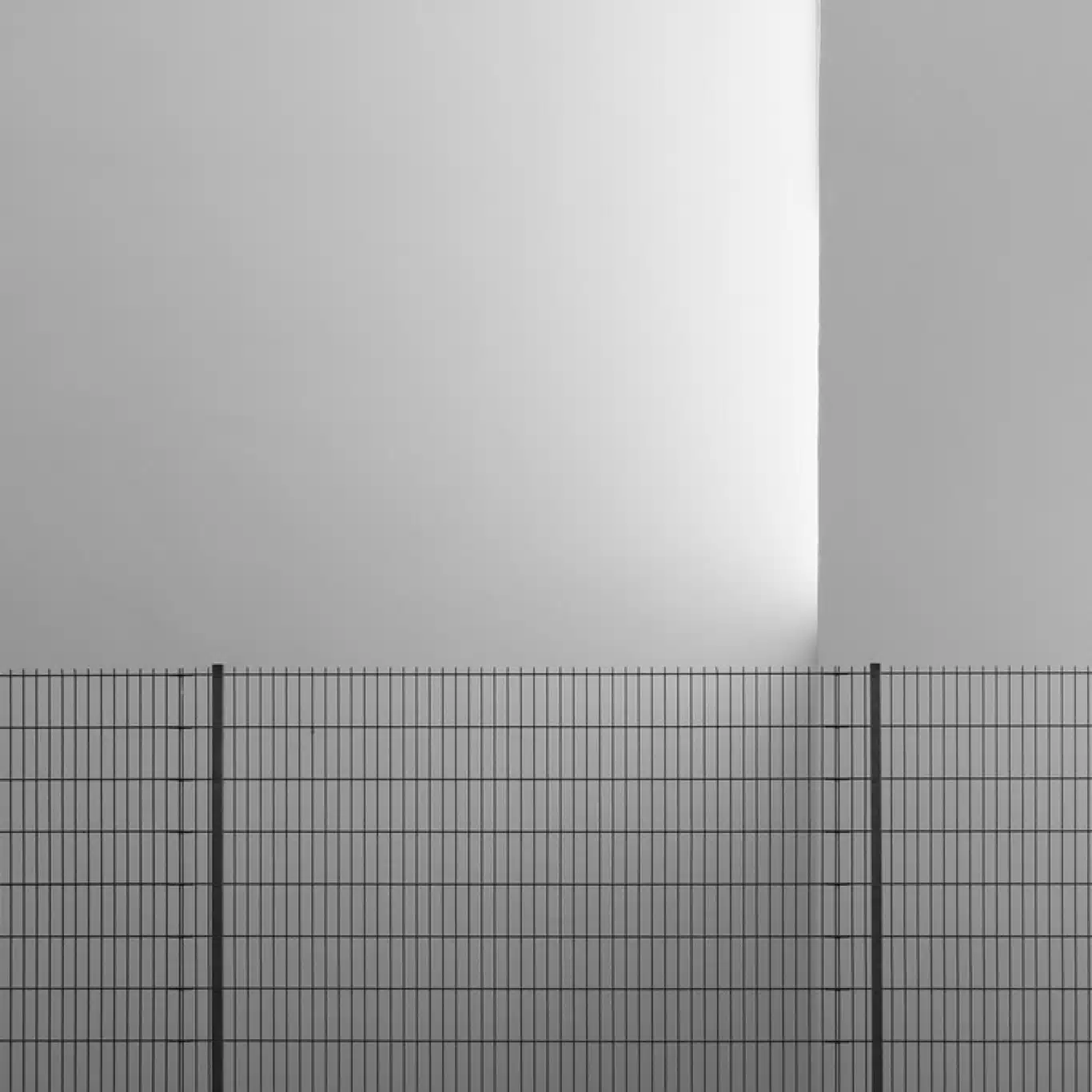 【最終値下】Quadeca Vanisher, Horizon Scraper Quadecaの『Vanisher, Horizon Scraper』（X8 Music）｜現代記録