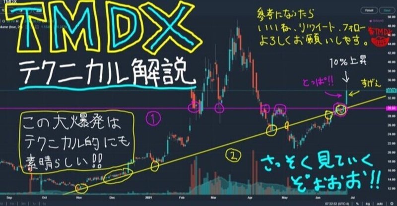 $TMDX 銘柄分析(2021/6/26 Tweet抜粋編)