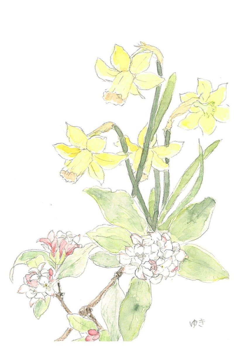 ぬりえ 22 Snow Note