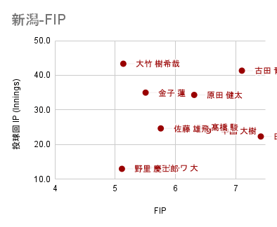 新潟-FIP (2)