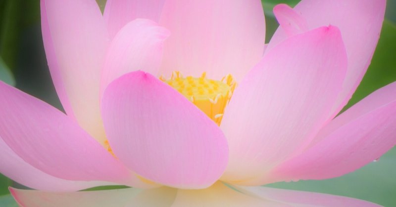 あのいやな思い出がよみがえる は英語でどういうか 三浦陽一 Note