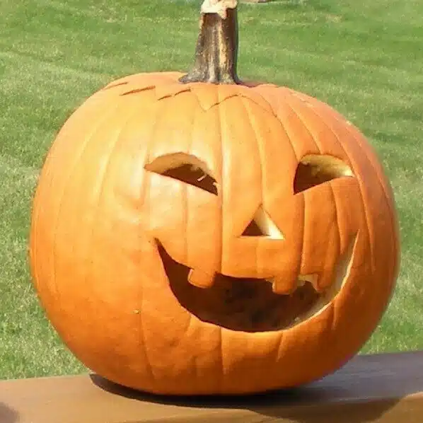 Pochipico