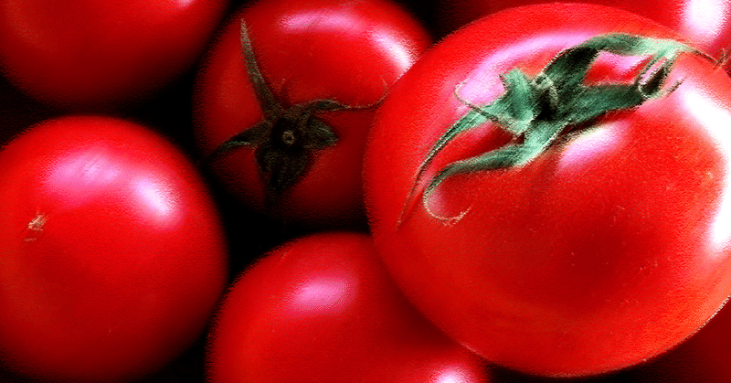 トマト嫌い（1）