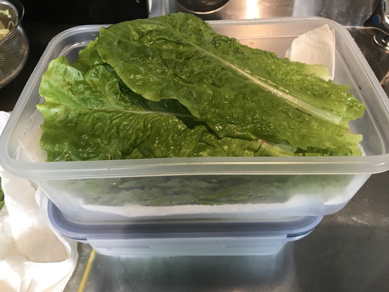 ガーデニング サンチュの保存法を再確認 おがばん 拝万里 Note ガーデニング サンチュの保存法を再確認 おがばん 拝万里 Note