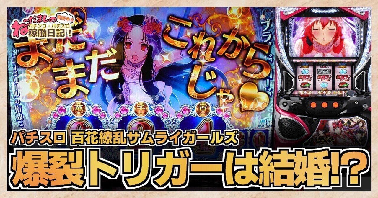 エンターライズ パチスロ 百花繚乱 サムライガールズ 中古