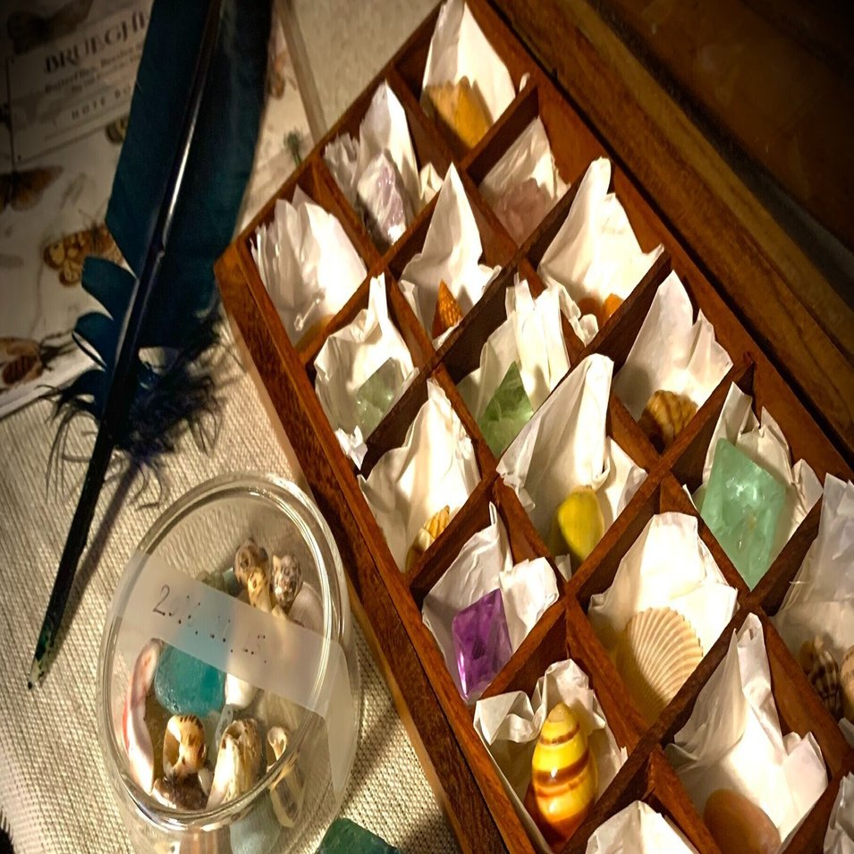 長野まゆみ作品のはなし。｜青咲