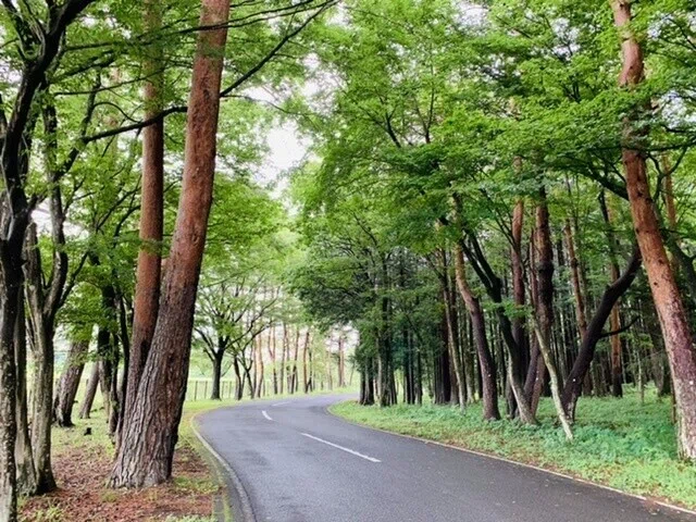 画像6