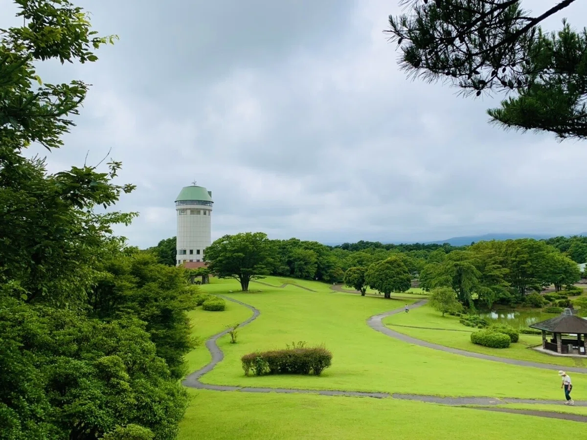 画像7