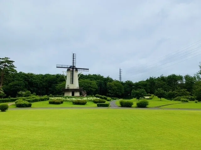 画像8