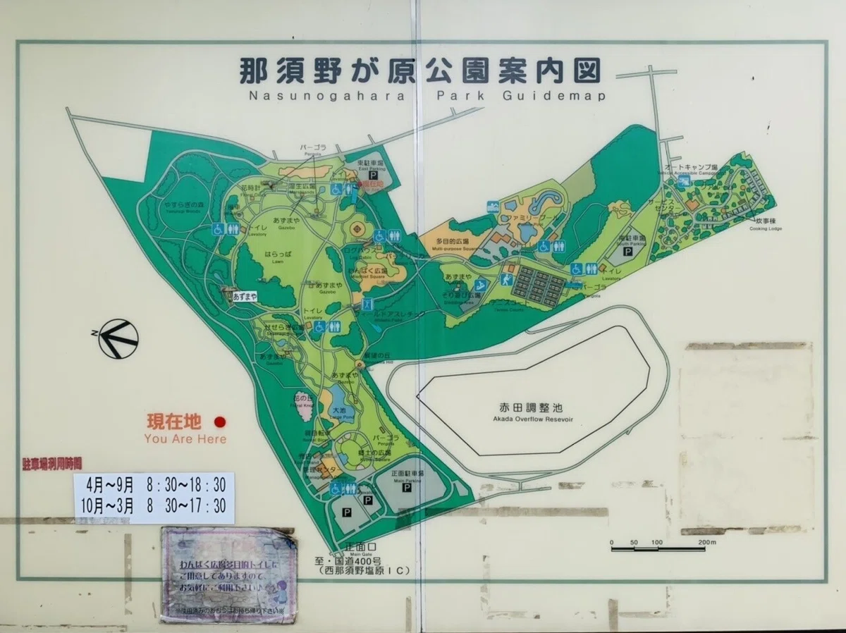 画像8