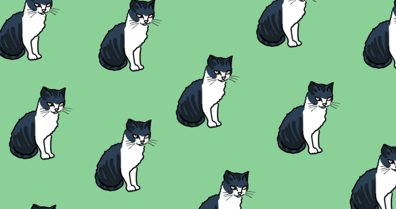 猫が飲まず食わずに なんてん Note