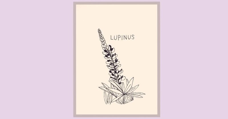 ルピナスの爪 末埼鳩 Note