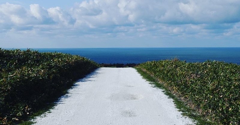 おふでさき丸暗記への道＃２　やり方             篇