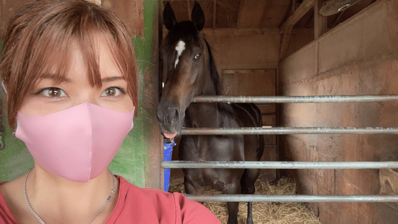 可愛いお馬さんの空撮 空遊の夏知 Nachi Note