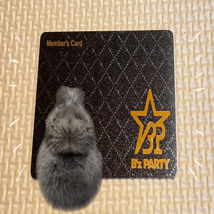 B'z PARTY（ファンクラブ）に入ったきっかけ｜げーらびーず