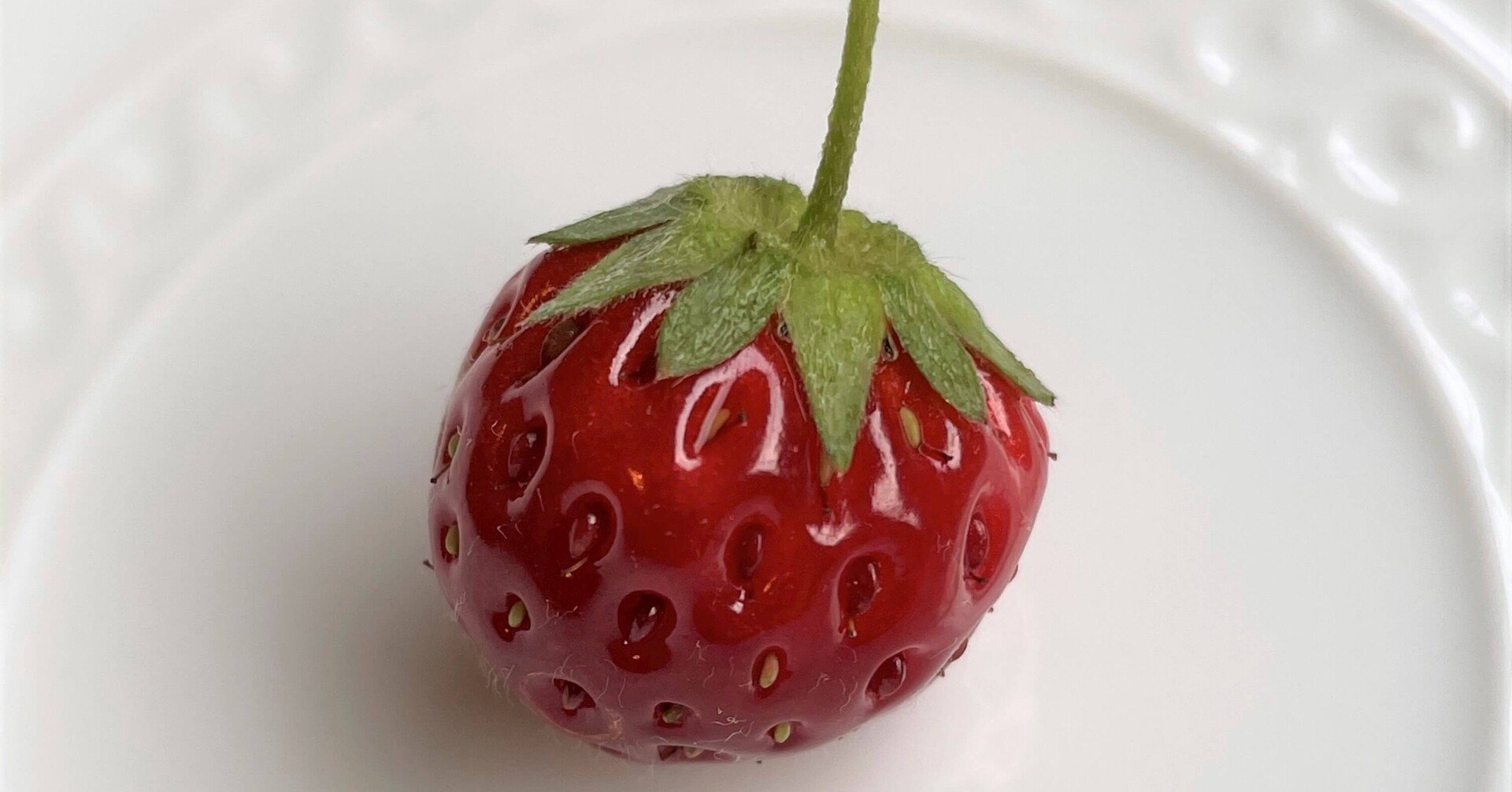 いちご白書 を もう一度 木原龍太郎 Note