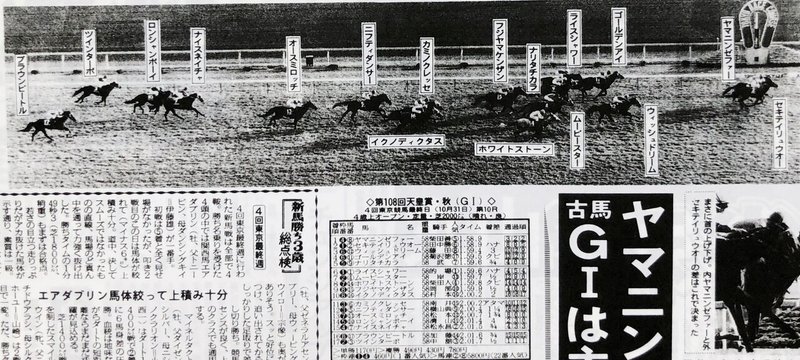 93年天皇賞秋・結果