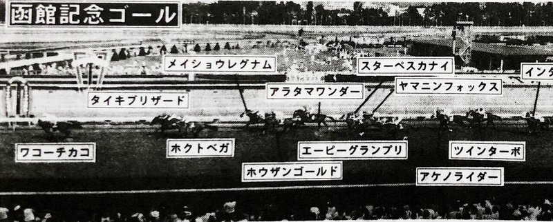 94年函館記念・結果