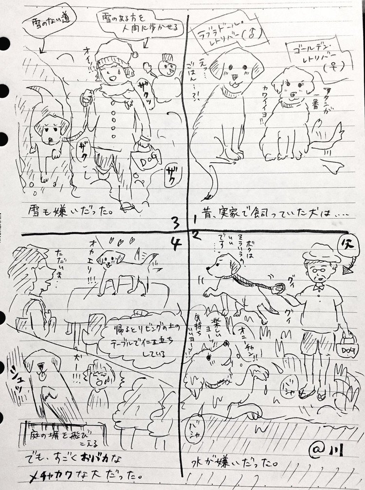 犬は味わい深くて飽きない。