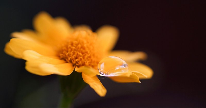 何の変哲もないラブソング の新着タグ記事一覧 Note つくる つながる とどける